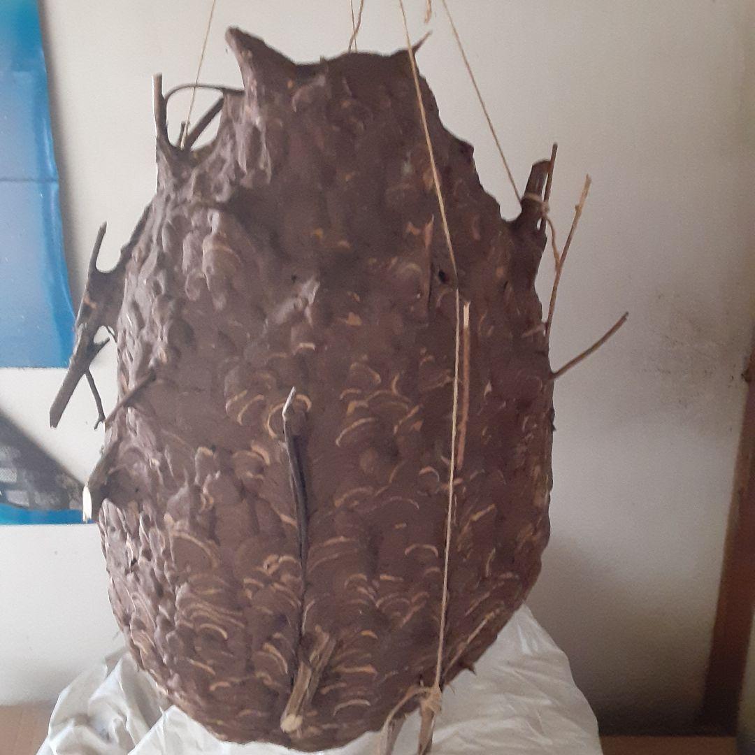 スズメバチの巣