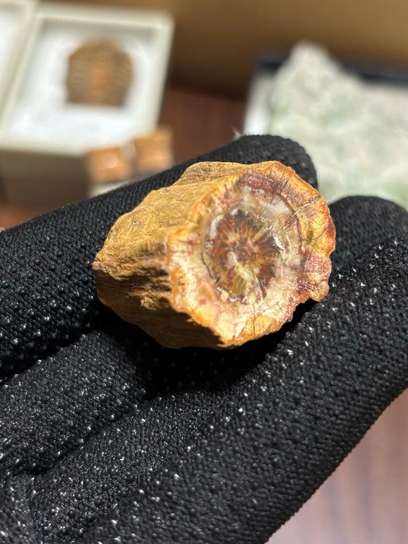 化石＆原石ミックス スピノサウルスの歯、三葉虫、魚眼石、パイライト 他