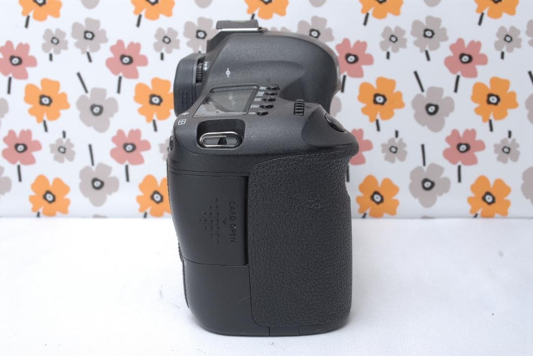 ❤Canon EOS 6D❤超望遠レンズセット❤Wi-Fi搭載❤フルサイズ一眼❤
