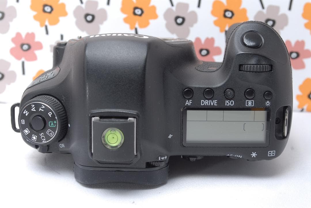 ❤Canon EOS 6D❤超望遠レンズセット❤Wi-Fi搭載❤フルサイズ一眼❤