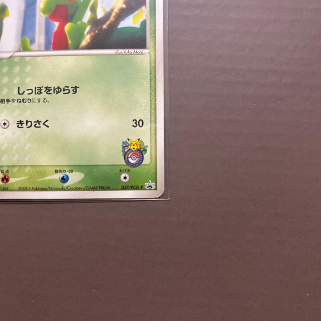 キモリ PROMO PCG-Pプロモカード 037/PCG-P