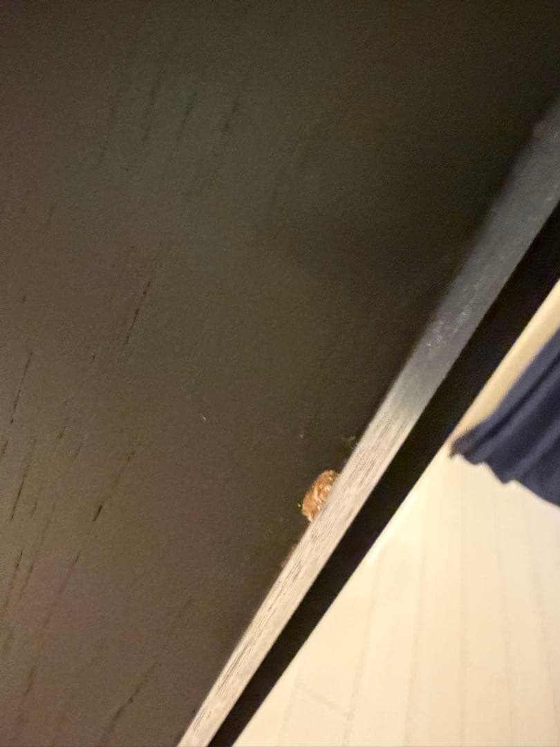 テレビ台 オープンシェルフ　ブラック　黒　木材　ARMONIA アルモニア