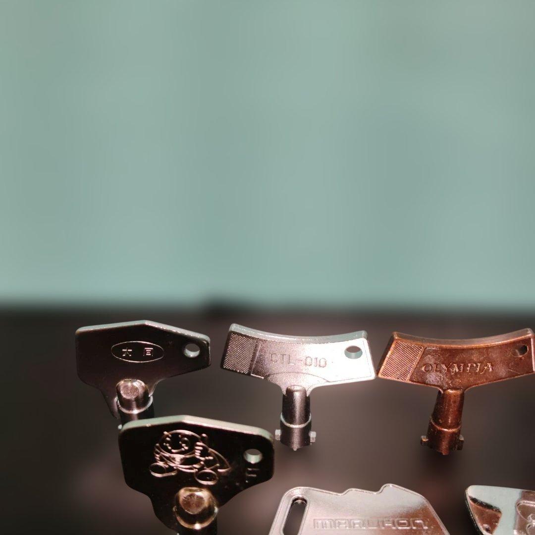 BLUE OCEAN　株式会社様 パチンコ　台鍵　ドアキー　36本　セット