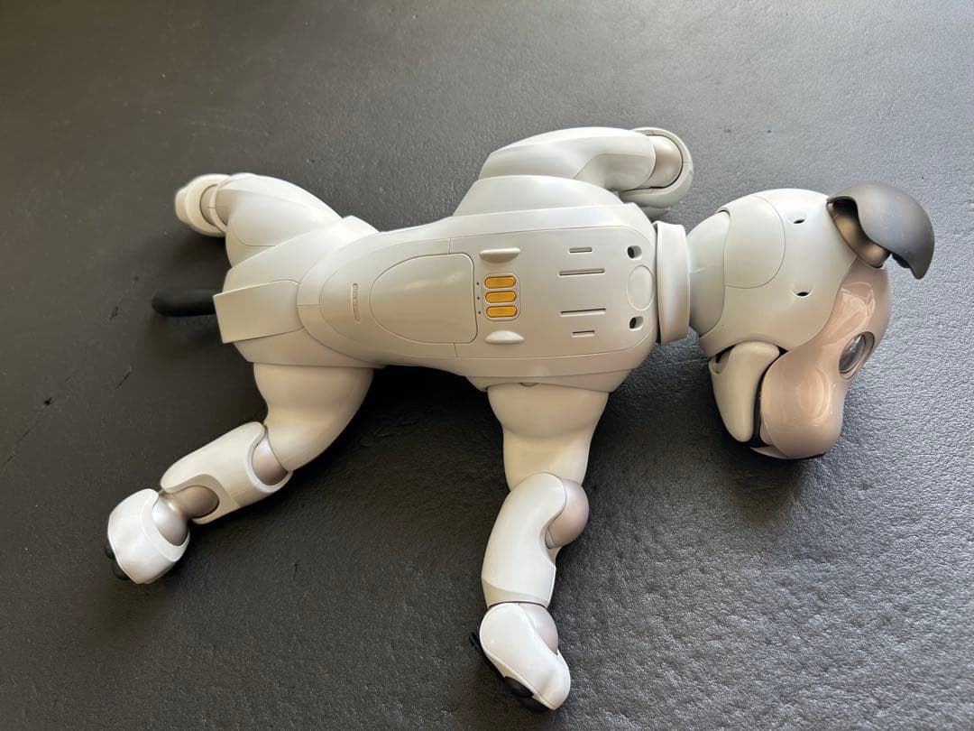 値下げaibo ERS-1000 アイボリーホワイト 初期化、メーカー検診済