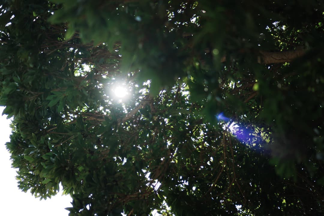 【未使用級】SONY E 35mm F1.8 OSS SEL35F18 単焦点