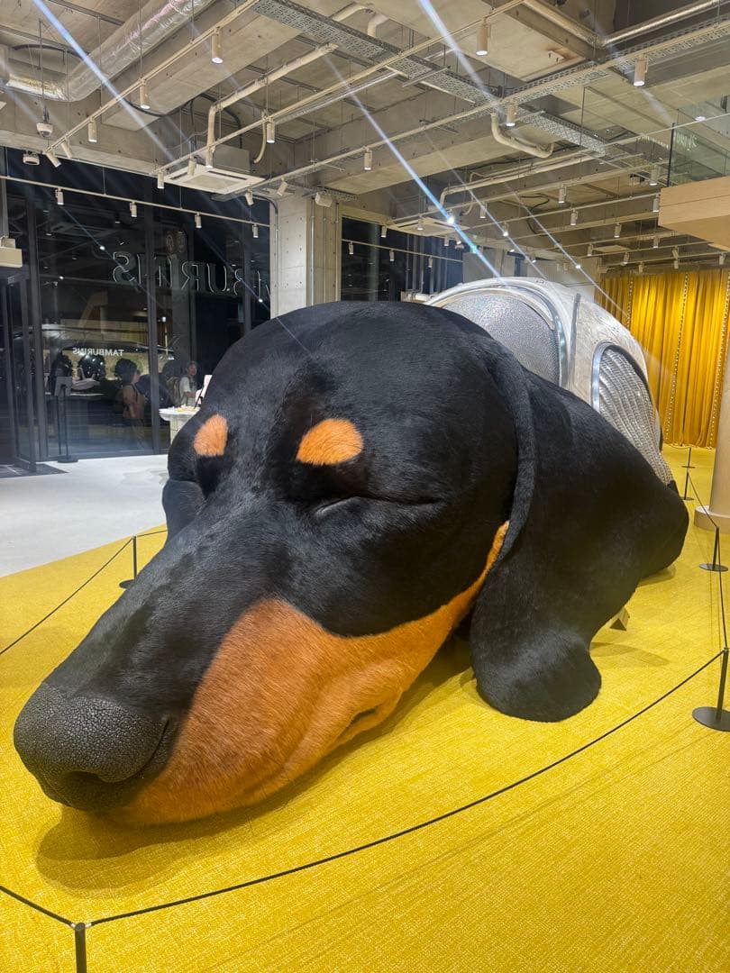 TAMBURINS 犬型チャーム　ビジョンフリーゼ