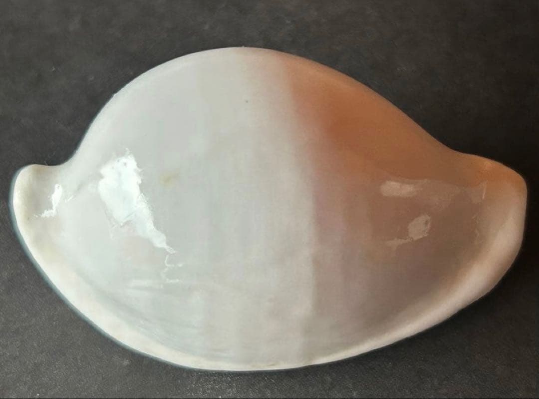 専用　まとめ11点