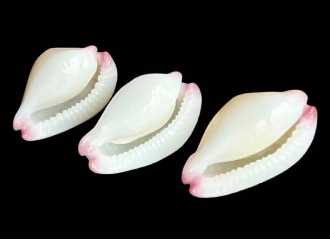 専用　まとめ11点