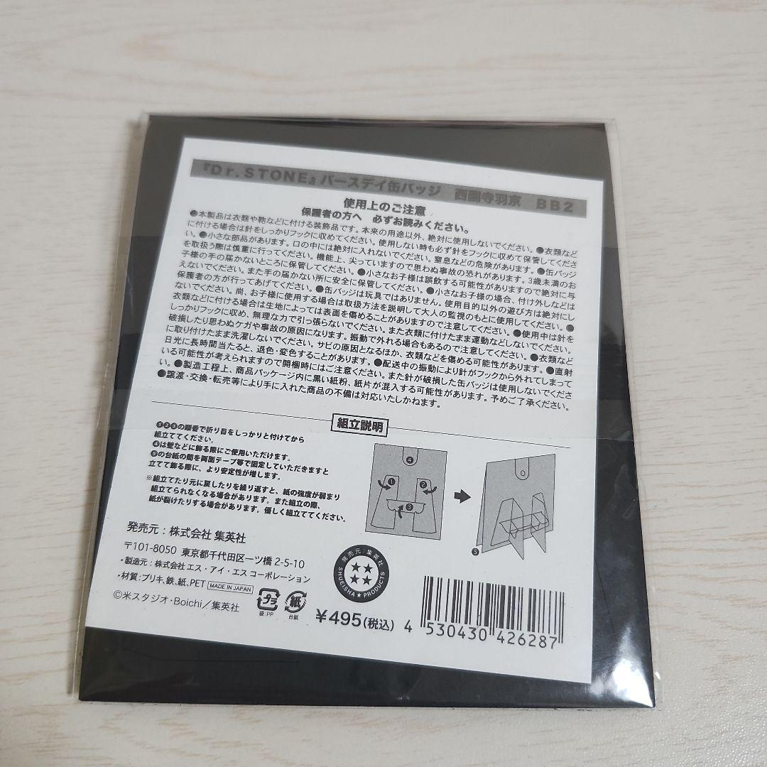 Dr.STONE バースデイ缶バッジ 西園寺羽京