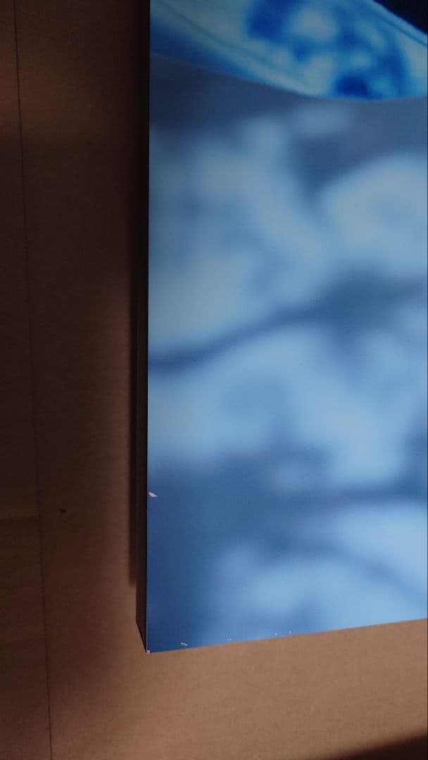 FUJIFILM STU48瀧野由美子さん写真パネル WALL DECOR