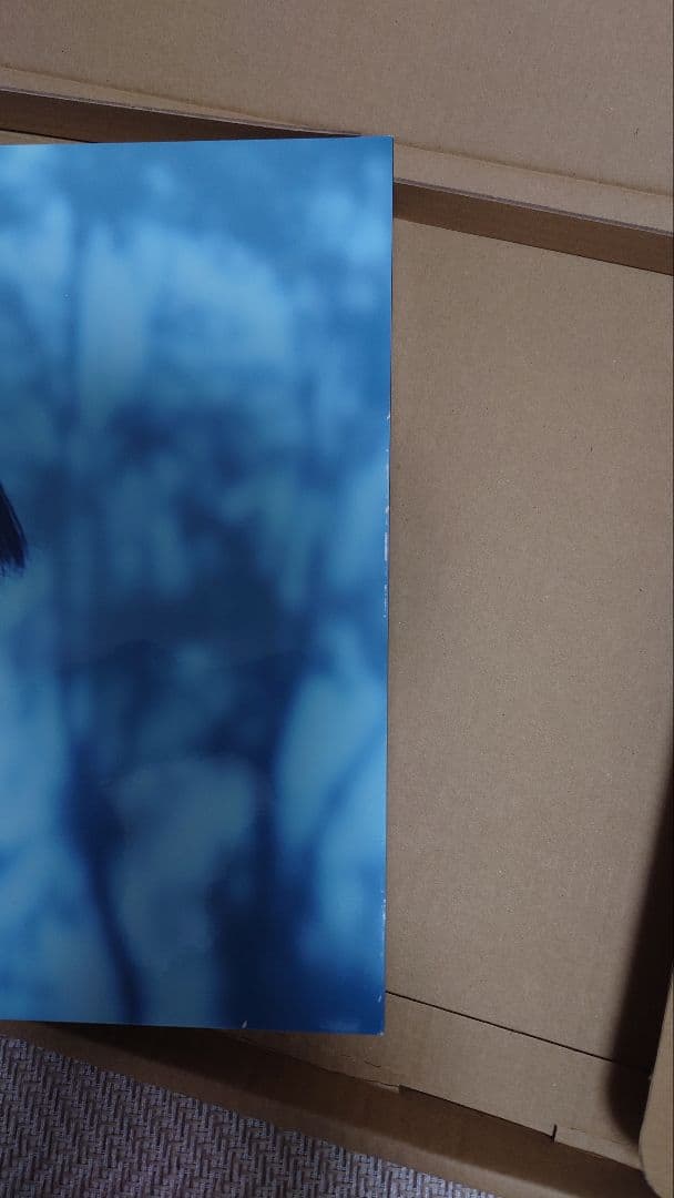 FUJIFILM STU48瀧野由美子さん写真パネル WALL DECOR