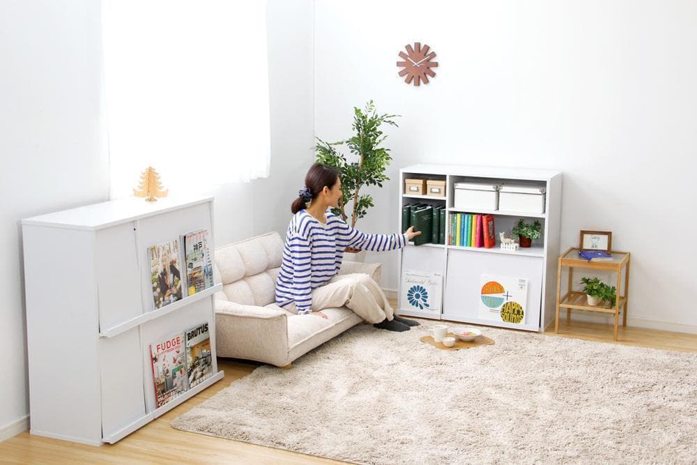 新品 送料込 大容量収納 ディスプレイラック 2個set 本棚 フラップ扉 n