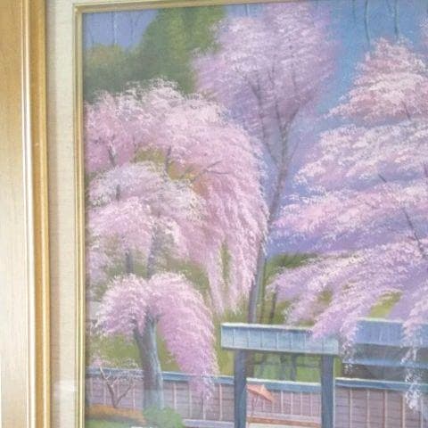 爛漫の桜 F8号 ( 肉筆画)