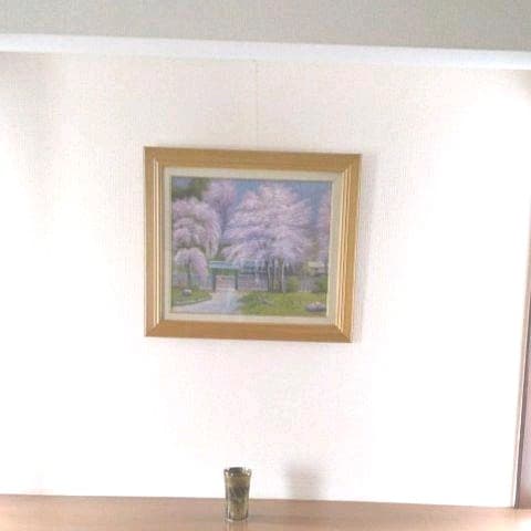 爛漫の桜 F8号 ( 肉筆画)