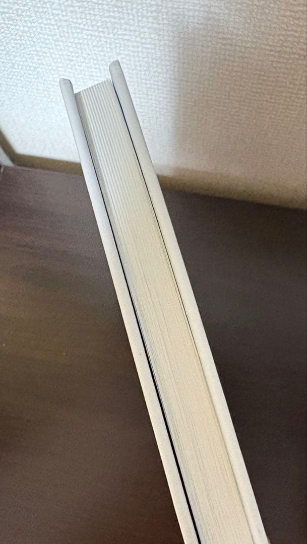 アドベンチャータイム フィオナとケイク コミック 輸入品