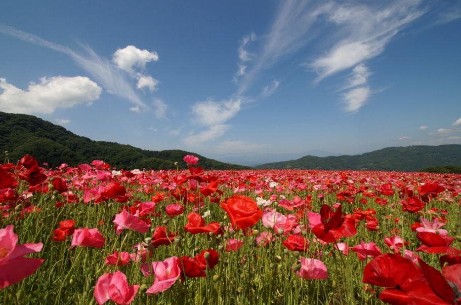 超広角レンズ　SONY DT 11-18mm F4.5-5.6