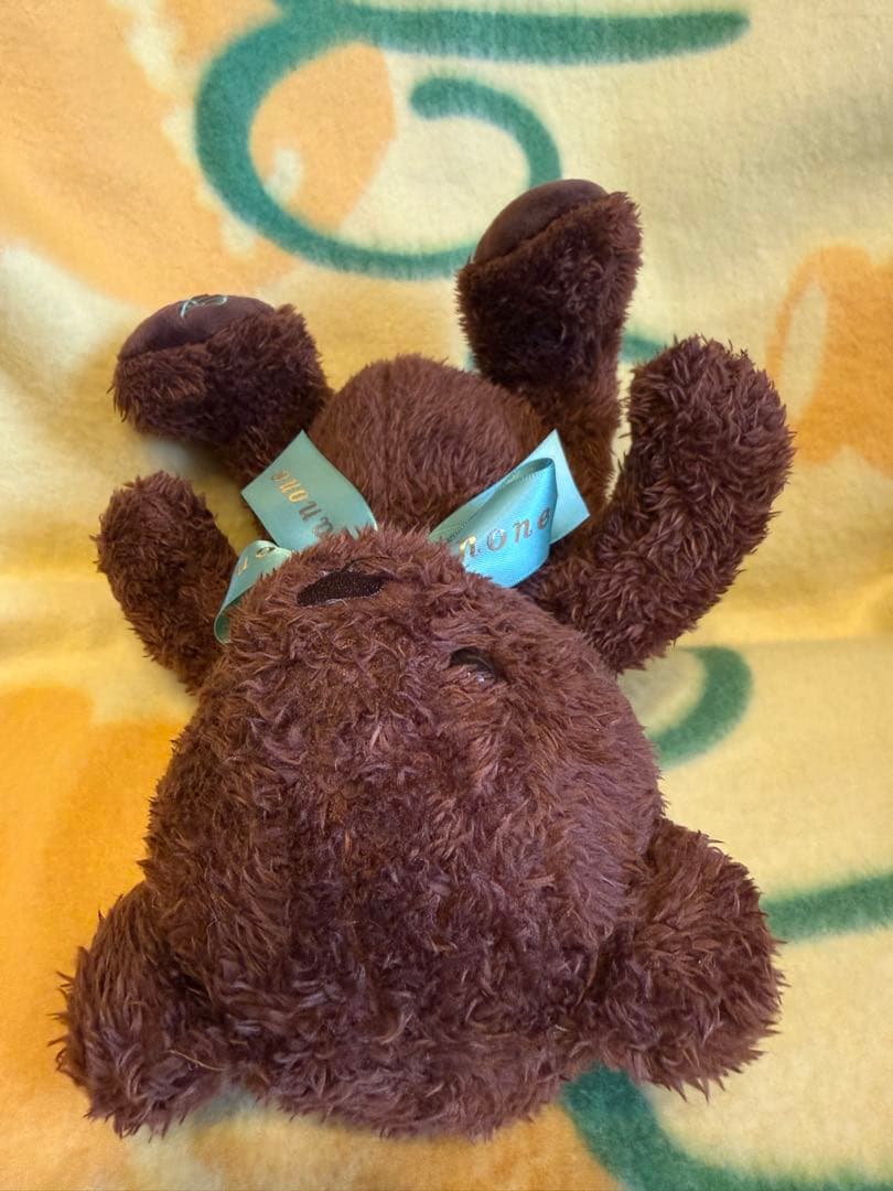 メゾンドフルール プチローブ カノン かのくま 神田沙也加