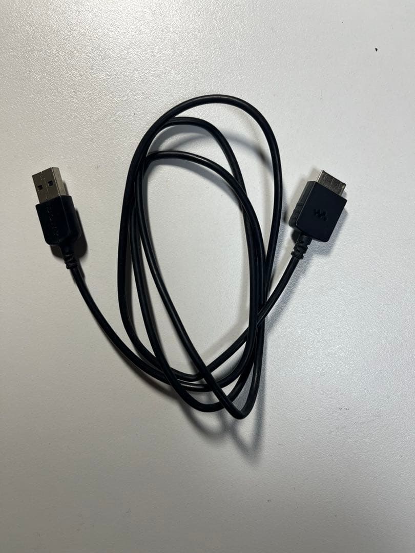 SONY ウォークマン NW-S313 4GB ブラック 動作確認済み