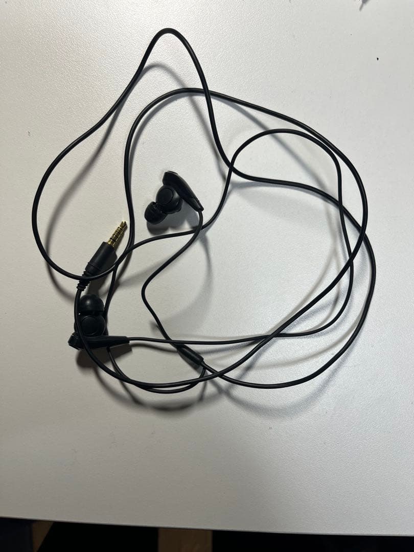 SONY ウォークマン NW-S313 4GB ブラック 動作確認済み