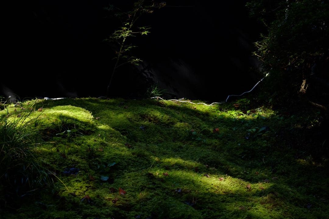 最終値段 美品　Fujifilm X-E2 ボディ