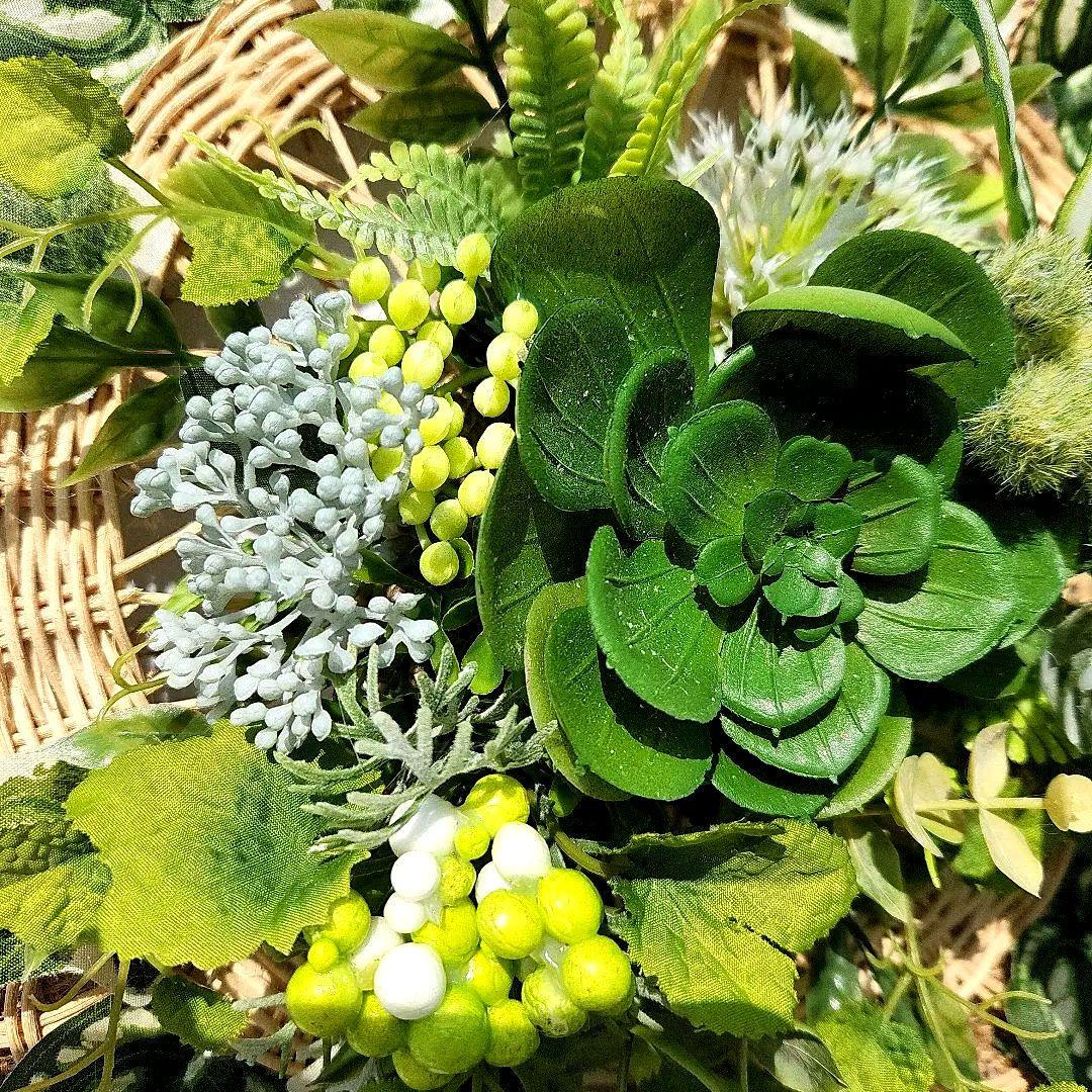 ウォールグリーン(大)62