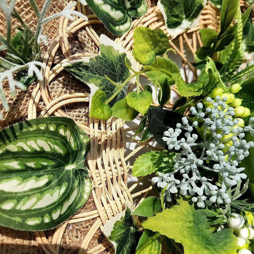 ウォールグリーン(大)62