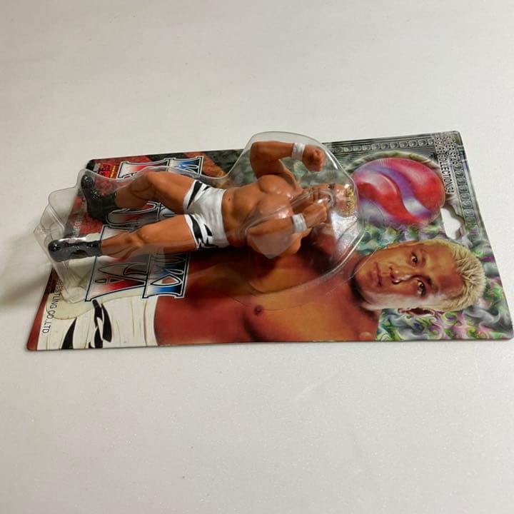 プロレスフィギュア　藤田和之