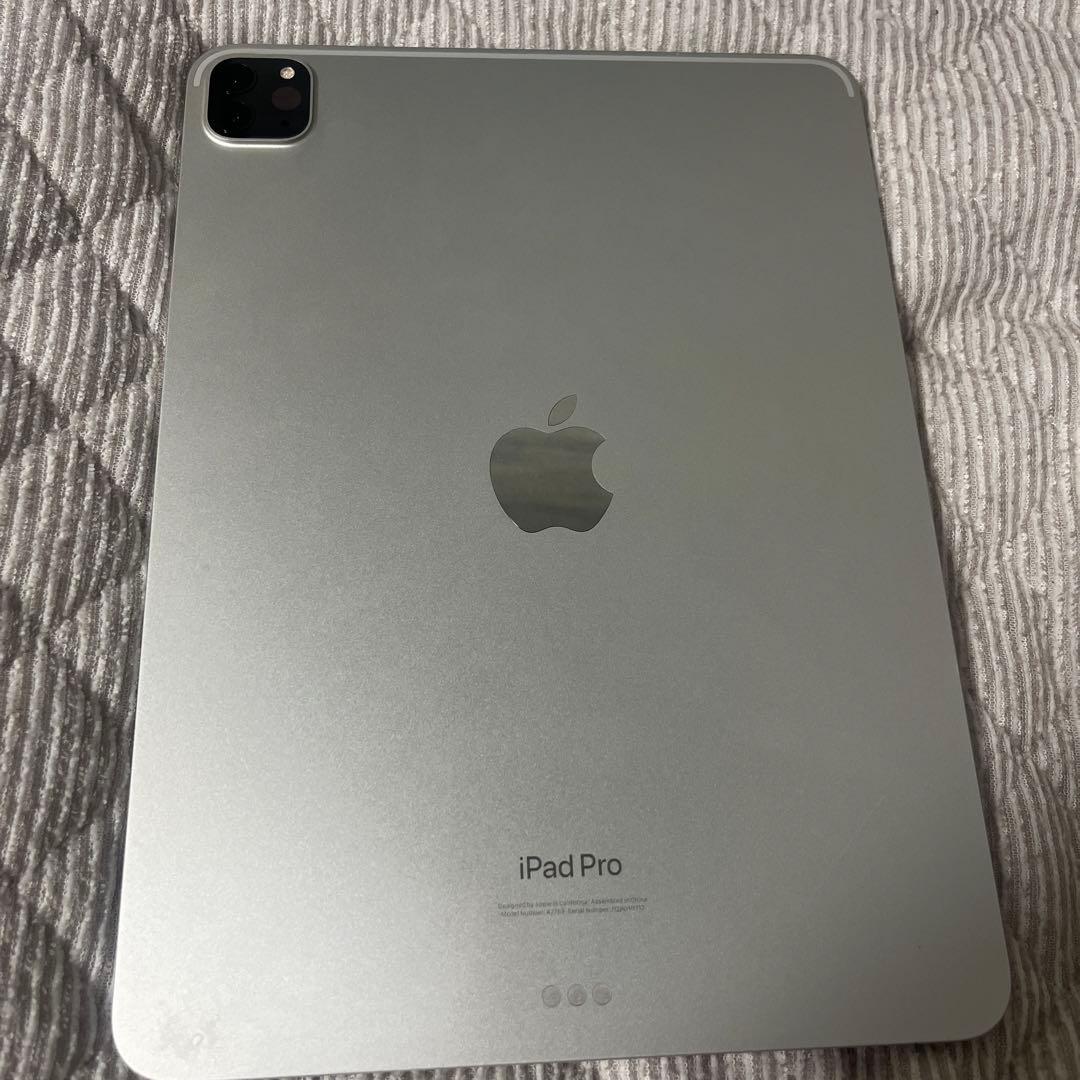 iPad 第4世代 11インチ zann