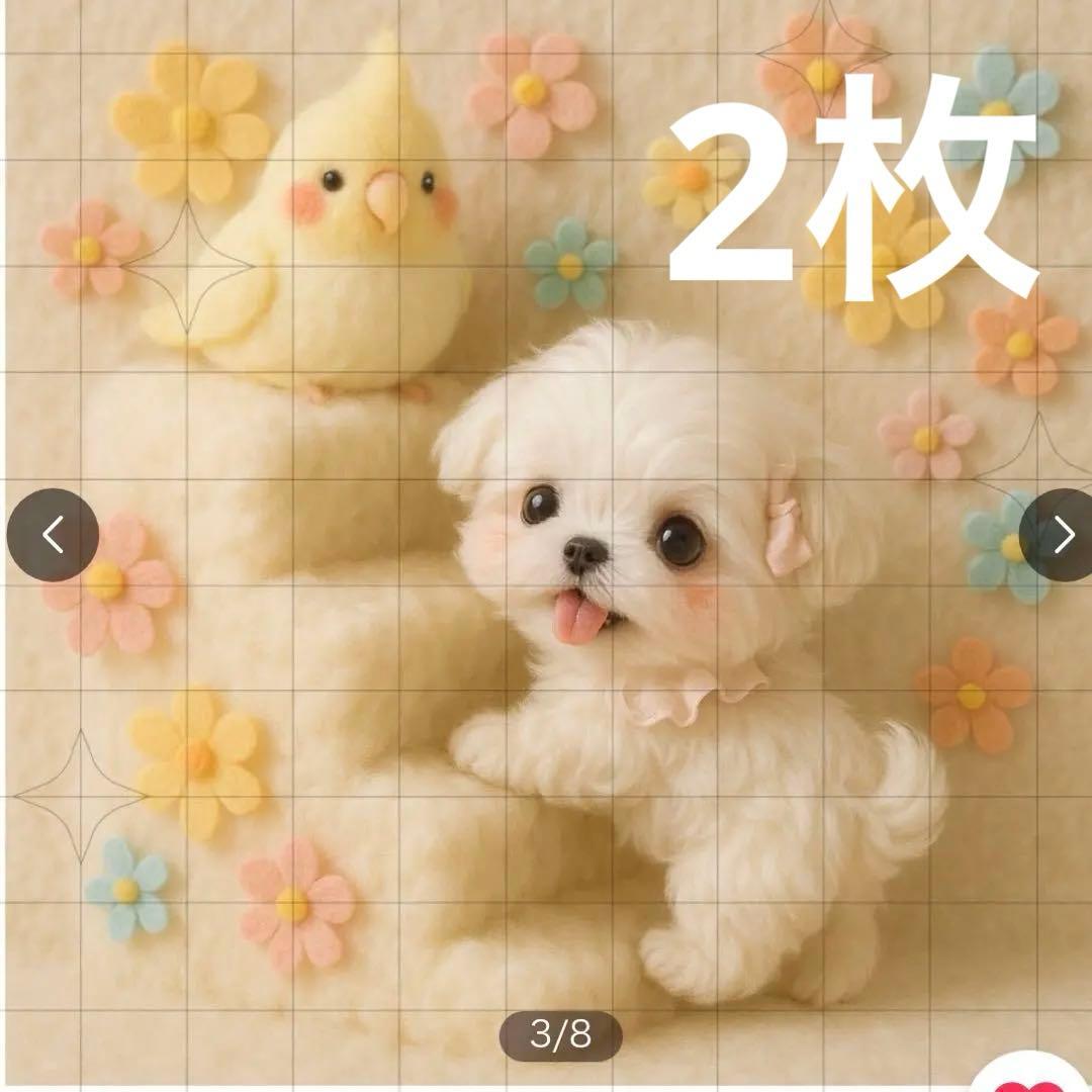 ♥むっち♥ ♡♬.*゜様 確認用