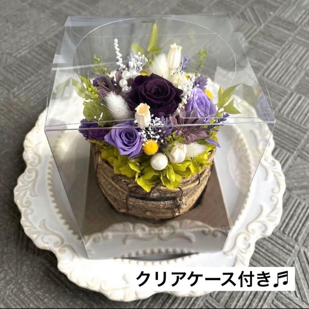 chieko様　ご確認用