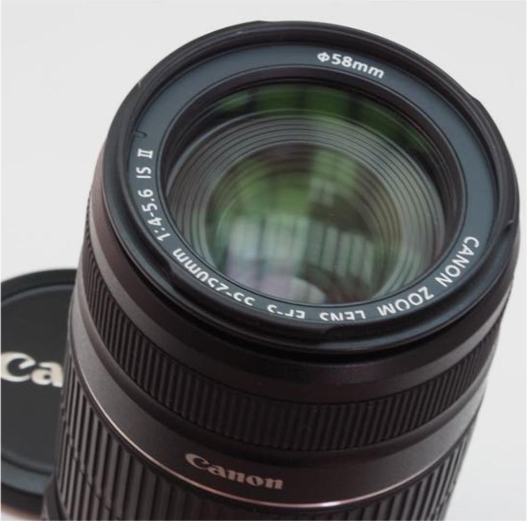 【美品】キャノンEF-S55-250mm ISⅡ手ブレ補正⭐️イベントで大活躍