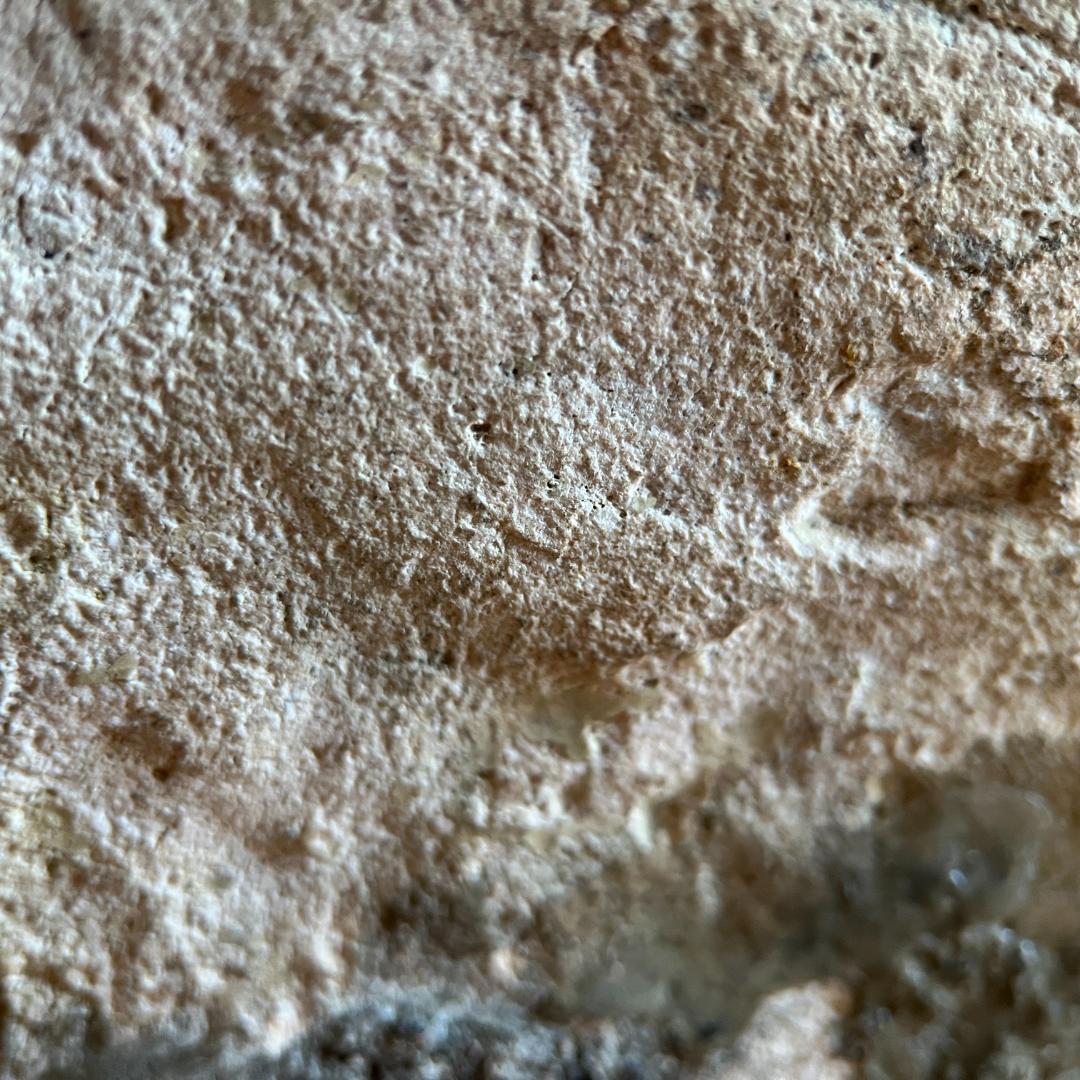 鎌倉時代 古瀬戸 灰釉瓶子 菊紋入 h32cm φ19cm