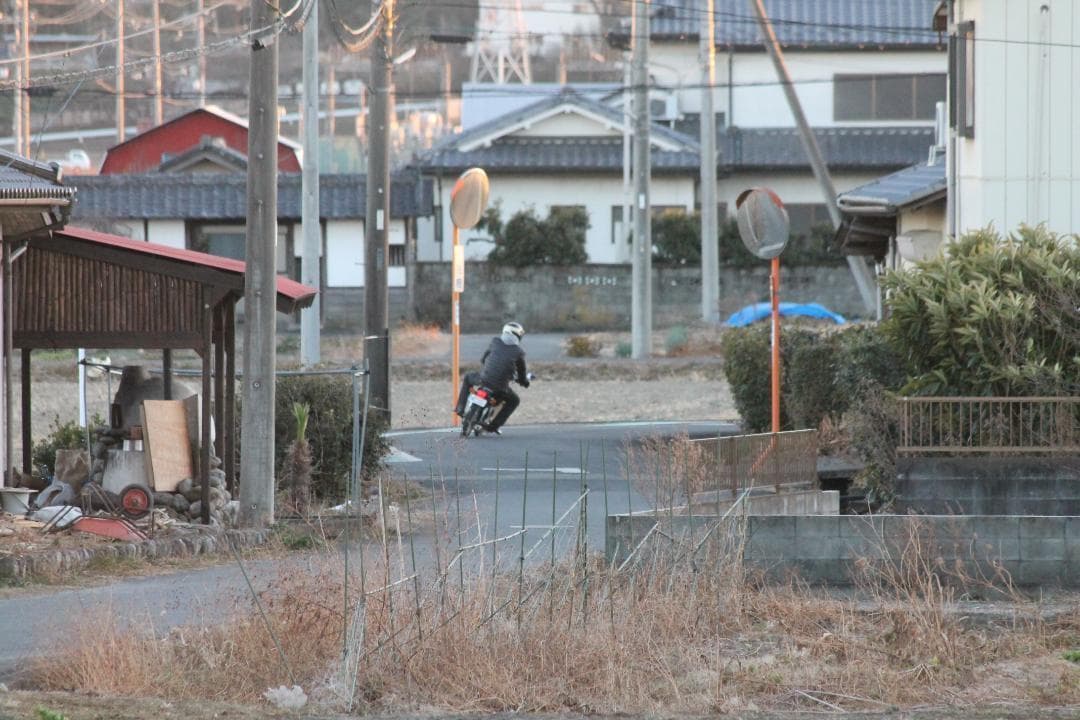 ✨美品✨Canon EF-S 55-250mm 1:4-5.6 IS STM