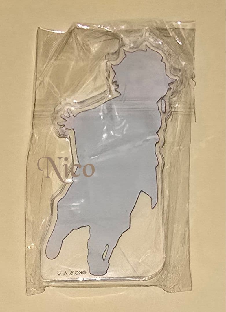 鬼滅の刃 竈門炭治郎 /☆ 柱稽古編 ひょっこり アクリルブロック