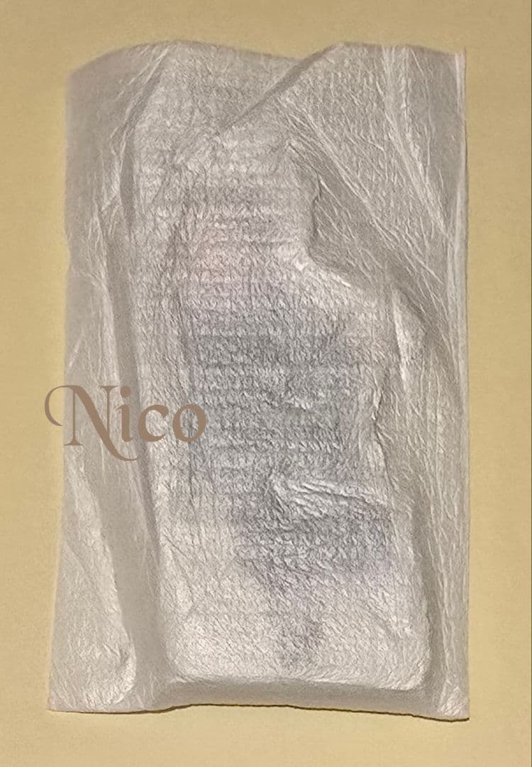 鬼滅の刃 竈門炭治郎 /☆ 柱稽古編 ひょっこり アクリルブロック