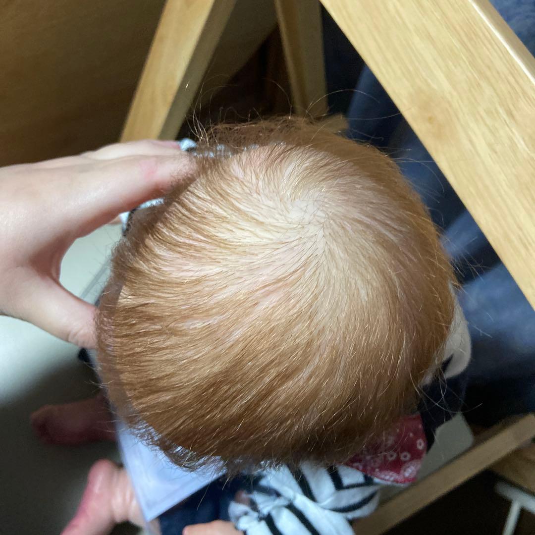 リボーンドール ヘロン 約50cm 証明書付き
