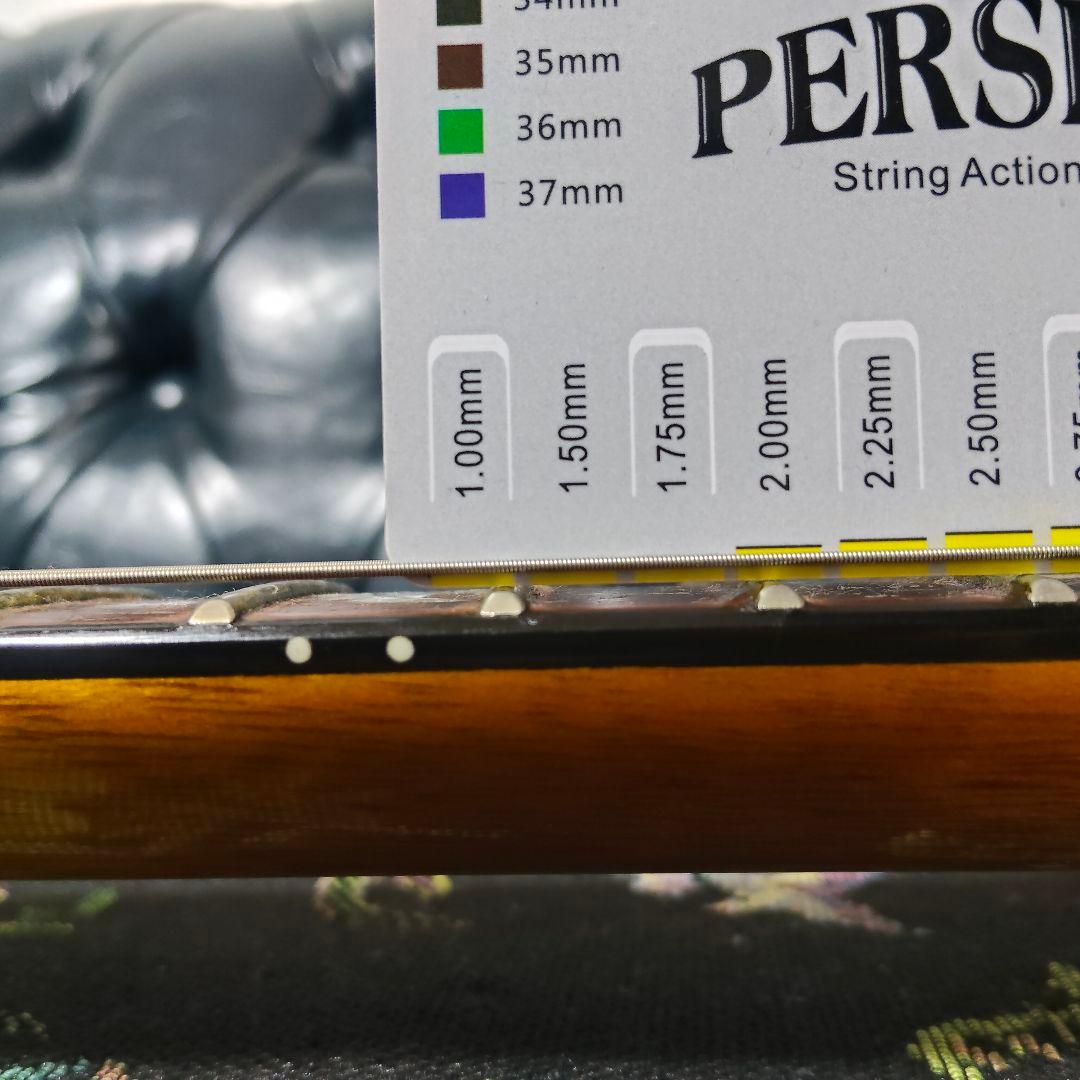 希少 SX PRSタイプ エレキギター バードインレイ フレイムメイプル