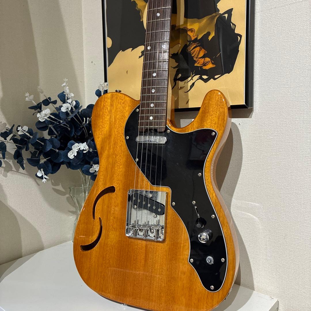 限定生産モデル Schecter OL-PT-TH ホロウボディ