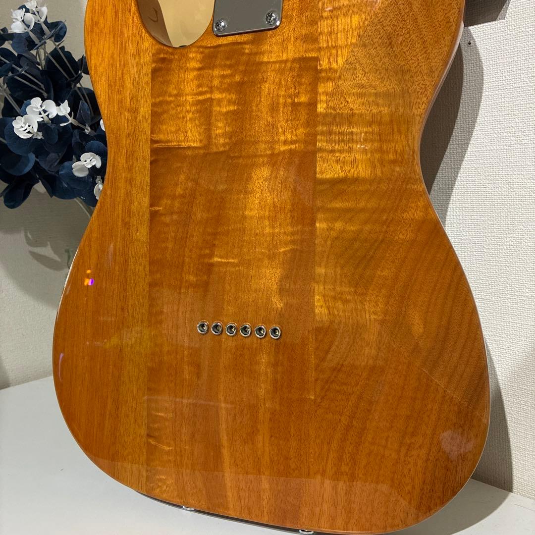限定生産モデル Schecter OL-PT-TH ホロウボディ