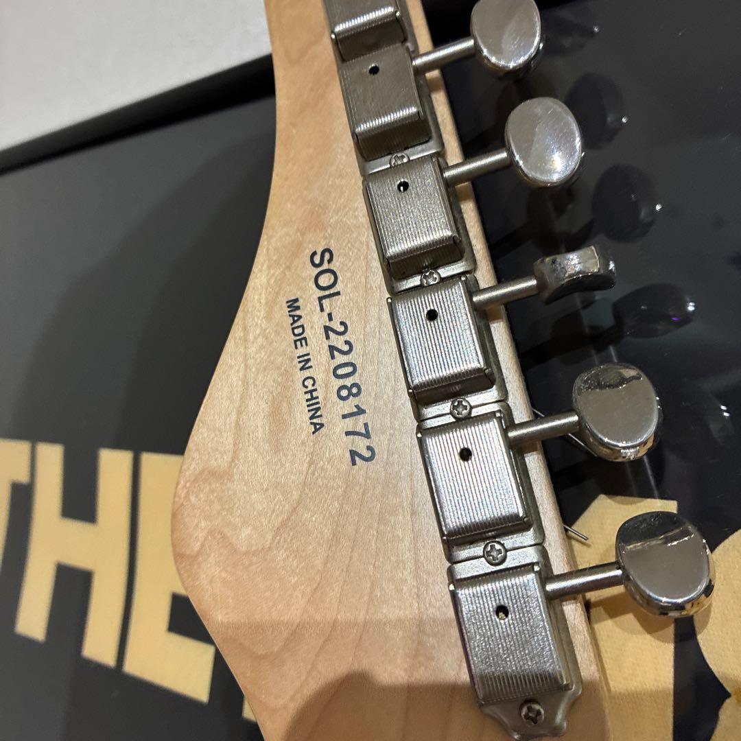 限定生産モデル Schecter OL-PT-TH ホロウボディ
