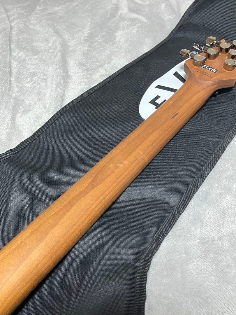 ギター EVH Wolfgang WG Standard Quilt Maple