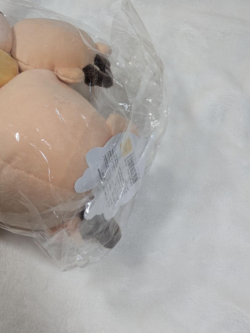 RIIZE PARK POPUP 20cm ぬいぐるみ　ソンチャン