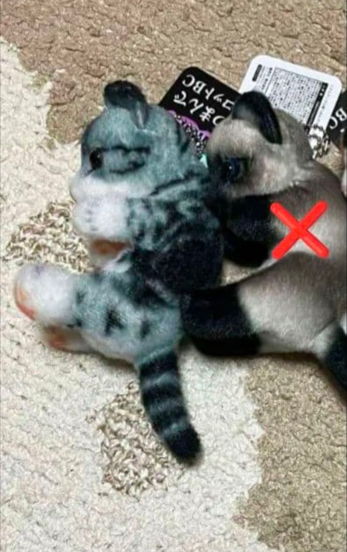 猫つまんでマスコットBC　猫　ぬいぐるみ　猫つまんで　マスコット　リアルアニマル