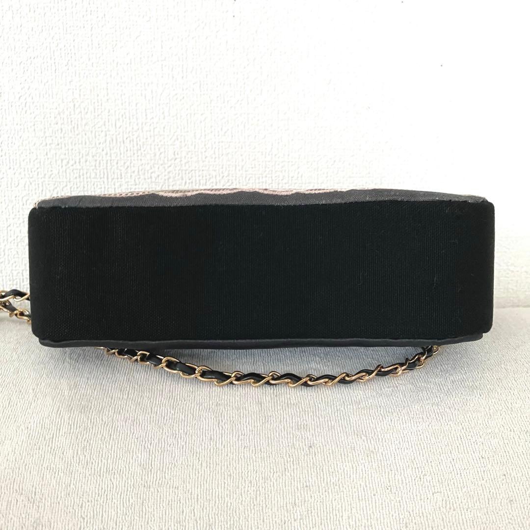 プーチン　横浜素材博　マイリトルテイラー、コラコラ