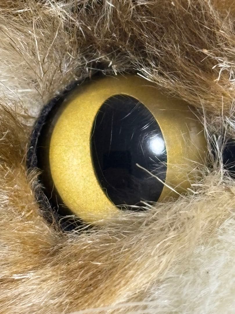 Cuddly(カドリー）ムッシュ ぬいぐるみ