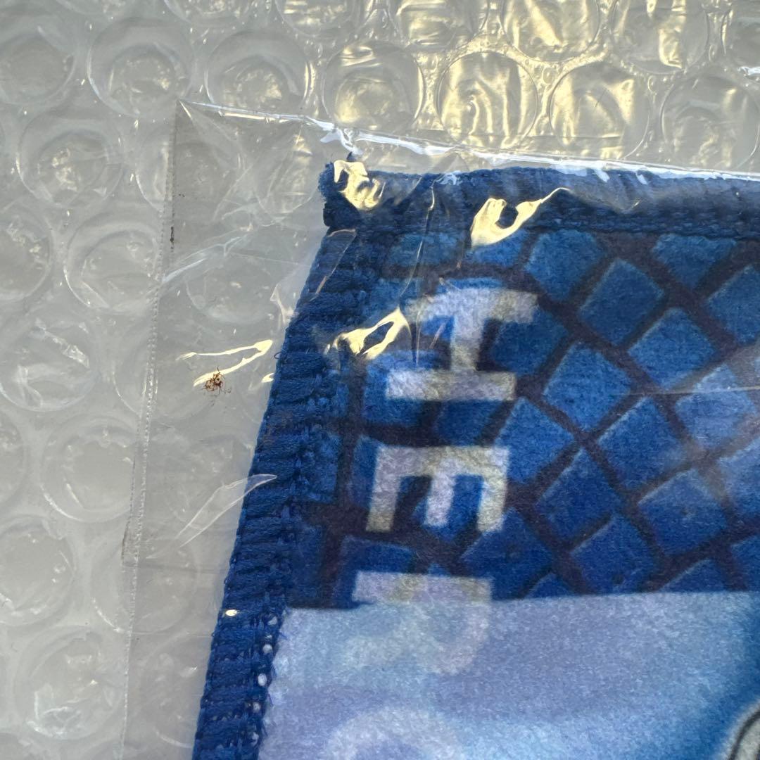 ポケモン　カルム　ミニタオル