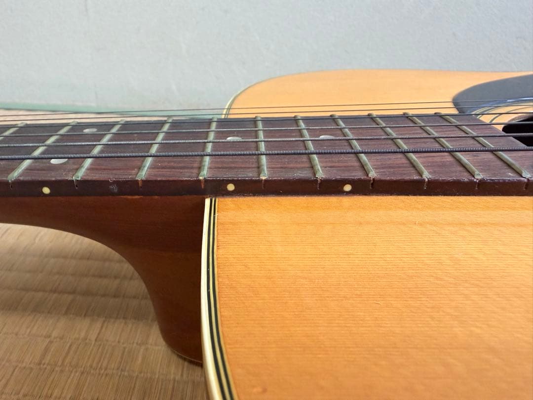 Tokai HummingBird F-200 70年代 国産 ハードケース