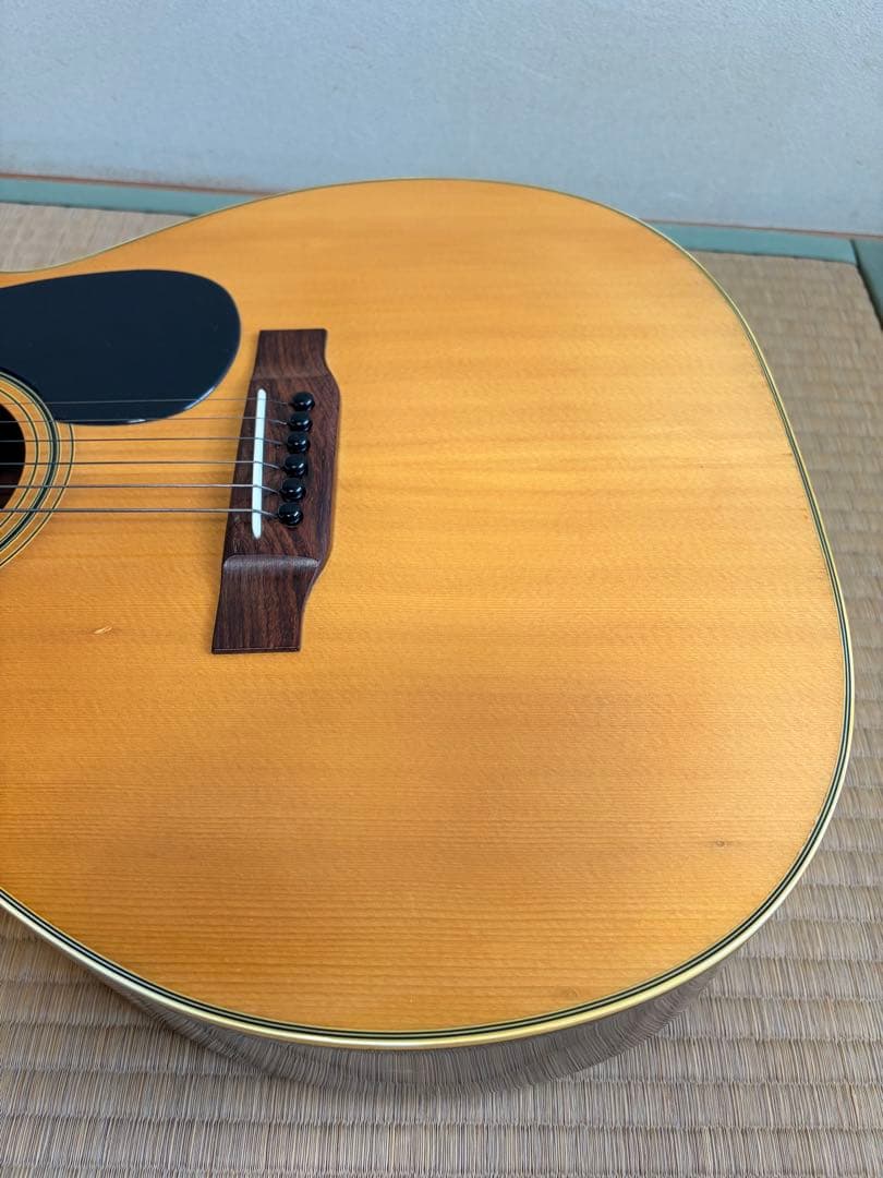 Tokai HummingBird F-200 70年代 国産 ハードケース