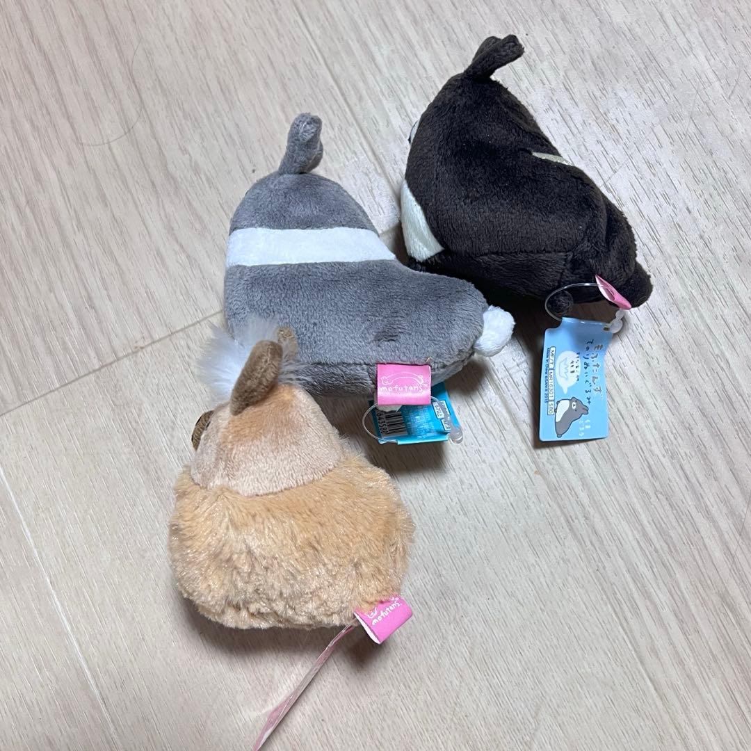 もふたんず　てのりぬいぐるみ