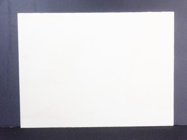 現代美術 大浦信行　直筆サイン『遠近を抱えてヨリ Ⅲ』リトグラフ　0317N